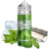 Produkt Mints Spearmint 30/120 ml SnV 30 ml aroma ve 120 ml Chubby gorila lahvičce. lavape.cz