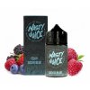 Nasty Juice Sicko Blue 20ml v 60 ml lahvičce.