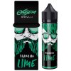 Příchuť SNV 20 ml v 60ml lahvičce - Ossem Fruity Series Brazilian Lime 20/60ml. lavape.cz