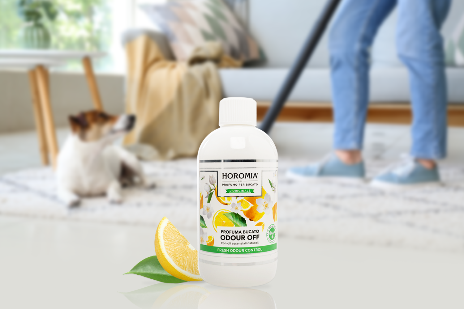 Ako mať voňavý domov aj s domácimi miláčikmi? Tajomstvo, ktoré vás prekvapí!