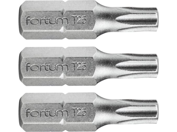 hrot TORX, sada 3ks, T 25x25mm, S2