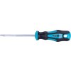 šroubovák TORX, TTa25x100mm, CrV