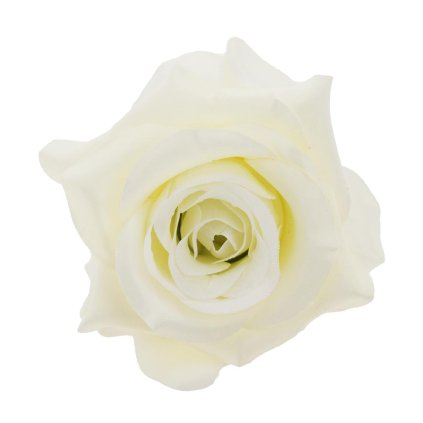 HLAVA RUŽA 10CM KRÉM