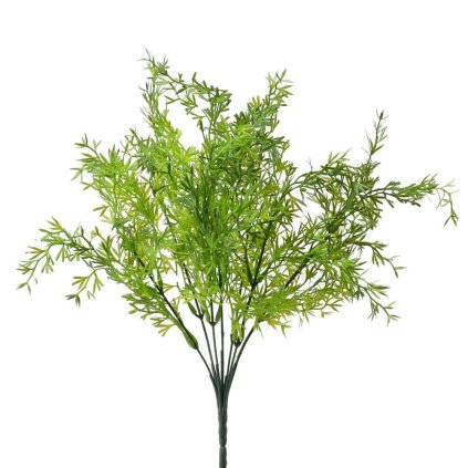 ZELEŇ ASPARAT ZELENÝ