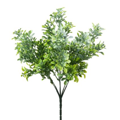 ZELEŇ DROB. LÍSTKY ZELENO-BIELA 34CM