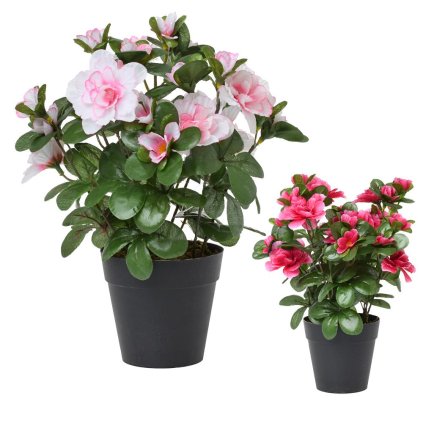 AZALKA V ČREPNÍKU MIX/2F 26x9,5CM - CENA ZA 1KS