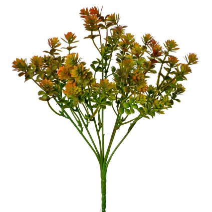 ZÁPICH HEBE ORANŽOVÉ 25CM