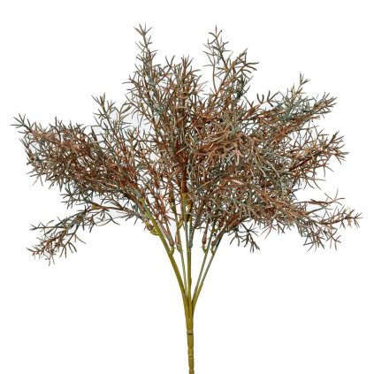 ZÁPICH ASPARAGUS ZELENOMEDENÁ 37CM SUPER CENA!