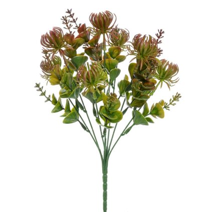 ZÁPICH MALÁ PROTEA HNEDÁ 30CM