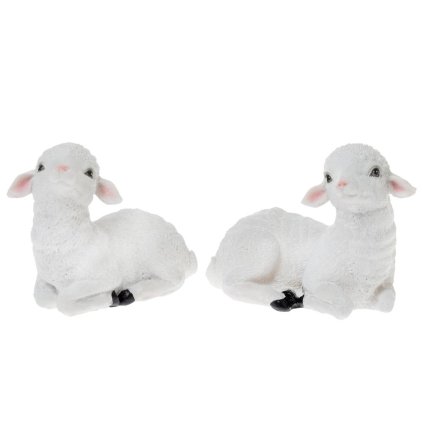 OVCA POLY 15x8x11CM BIELA MIX - CENA ZA 1KS