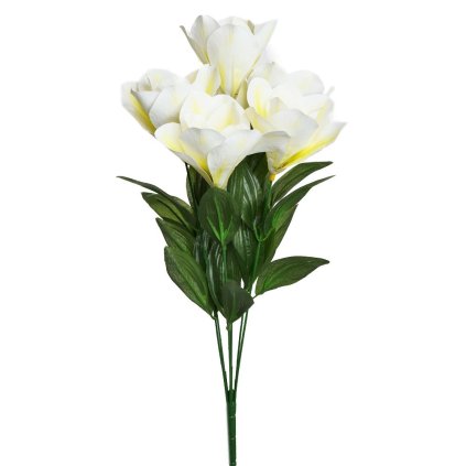 KYTICA MAGNÓLIA KRÉMOVÁ, ZELEŇ 52CM