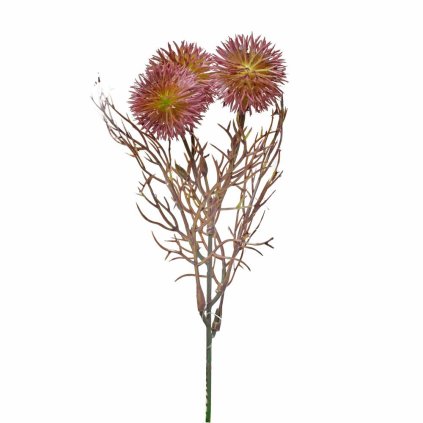 ZÁPICH BODLIAK RUŽOVÁ 24cm