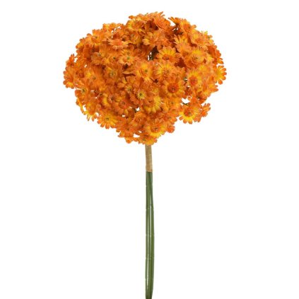 ZVÄZOK ACHILEA ORANŽOVÁ 32CM