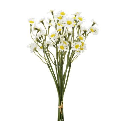 KYTIČKA TANACETUM BIELE 27CM