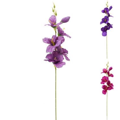 KS GLADIOLA FIALOVÝ MIX/3 55CM