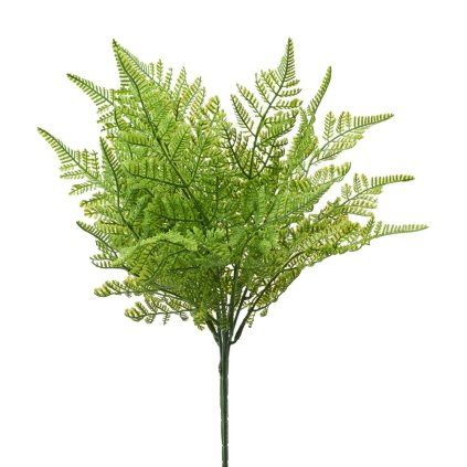 ZÁPICH PAPRAĎ ZELEŇ ZELENÁ 47CM