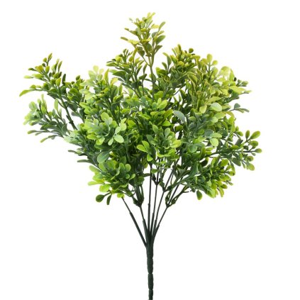 ZELEŇ DROB. LÍSTKY ZELENO-ŽLTÁ 34CM