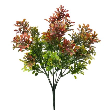 ZELEŇ DROB. LÍSTKY ZELENO-ČERVENÁ 34CM