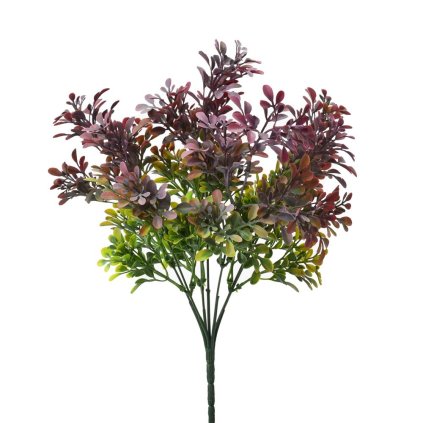 ZELEŇ DROB. LÍSTKY ZELENO- FIALOVA 34CM