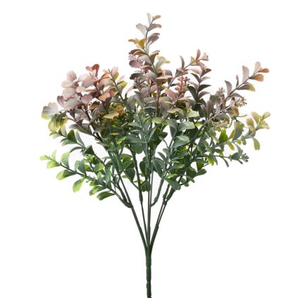 ZELEŇ DROB. LÍSTKY ZELENO-RUŽOVÁ 35CM