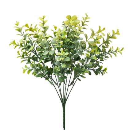 ZELEŇ DROB. LÍSTKY ZELENO-ŽLTÁ 35CM