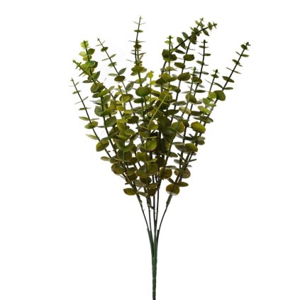 ZELEŇ EUCALYPTUS BABY BLUE BLEDO-ZELENÝ 41cm