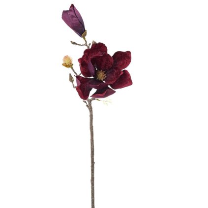 KS MAGNÓLIA BORDOVÁ 58CM