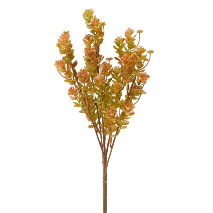 ZELEŇ SEDUM ORANŽOVÉ 35CM
