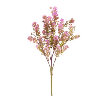 ZELEŇ SEDUM RUŽOVÉ 35CM