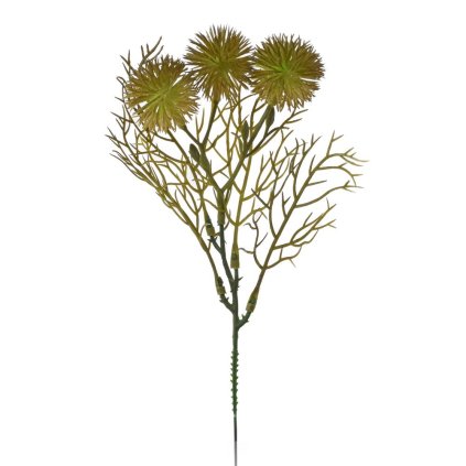 ZÁPICH BODLIAK ZELENÝ 24cm /BAL.: 6ks/