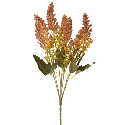 ZELEŇ VRES HNEDÝ 36CM