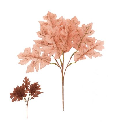 ZÁPICH LÍSTIE DUBOVÉ x5 MIX/2F 35CM