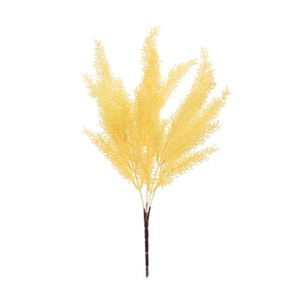 ZELEŇ ASPARÁT KRÉMOVÝ 37CM