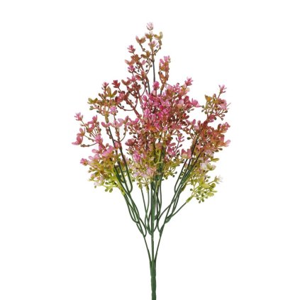 ZELEŇ WAXFLOWER CYKLAMENOVÝ 44CM