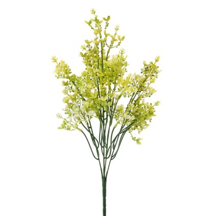 ZELEŇ WAXFLOWER ŽLTÝ 44CM