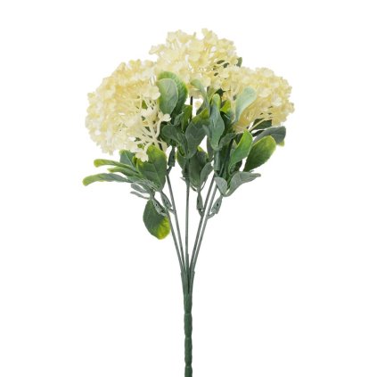 ZELEŇ VIBURNUM KRÉMOVÉ 30CM