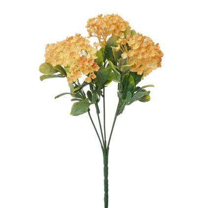 ZELEŇ VIBURNUM ORANŽOVÉ 30CM