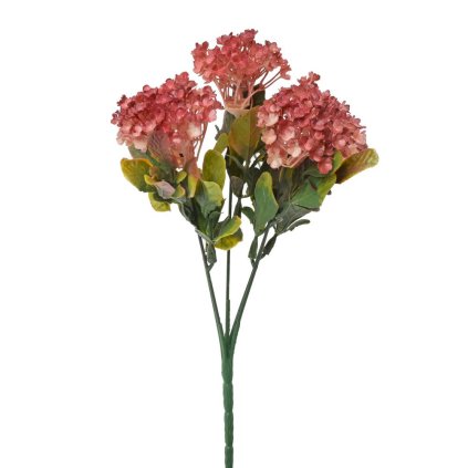 ZELEŇ VIBURNUM ČERVENÉ 30CM