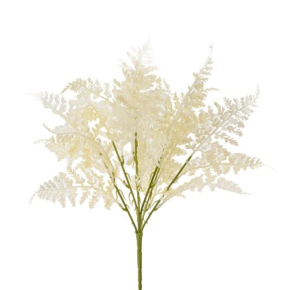 ZELEŇ PAPRAĎ BIELA 42CM