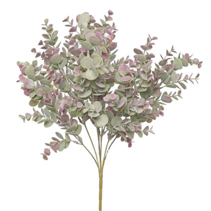 ZÁPICH EUCALYPTUS ZELENOFIALOVÝ 42CM