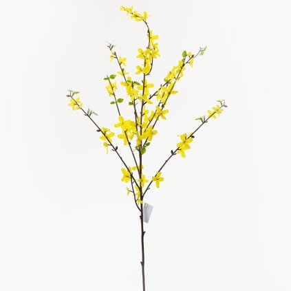 KS ZLATÝ DÁŽĎ 100CM