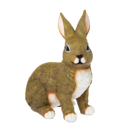 ZAJAC POLYREZ 24,5x15,5x31CM HNEDÝ