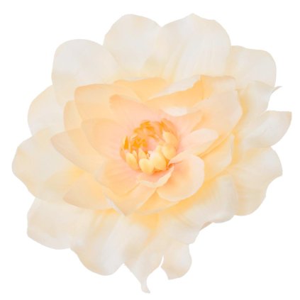 HLAVA DAHLIA - LOSOS P:12CM