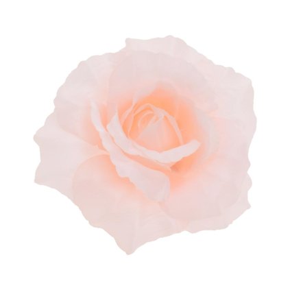 HLAVA RUŽA MARHUĽOVÁ P:10CM