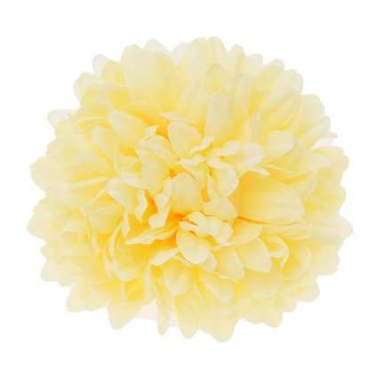HLAVA CHRYZANTÉMA 12CM, BLEDO-ŽLTÁ