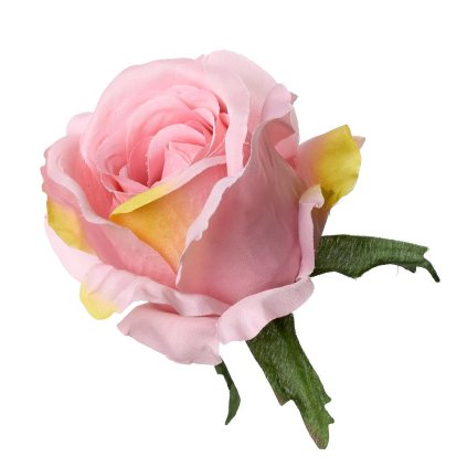 HLAVA RUŽA - STARORUŽOVÁ V:8CM P:8CM