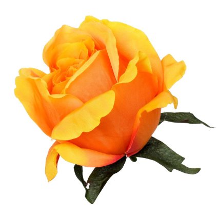 HLAVA RUŽA ORANŽOVÁ PRIEM:8CM