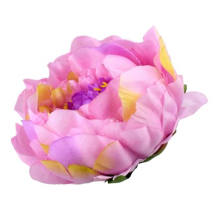 HLAVA PIVOŇKA KRÉM RUŽOVÁ PRIEM:10CM