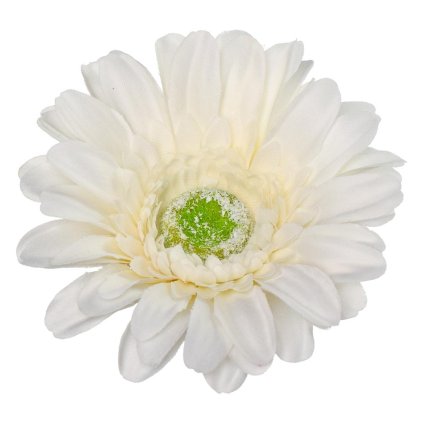 HLAVA GERBERA - BIELA P:12CM
