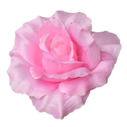 HLAVA RUŽA - RUŽOVÁ P:10CM